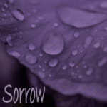 SORROW playlist