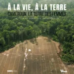 ALVALT+CAMEROUN+SQUARE