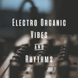 AM020_ac_Electro-Organic-Vibes-&-Rhythms_-_Marcelo-Conti