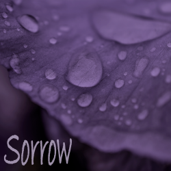 SORROW playlist