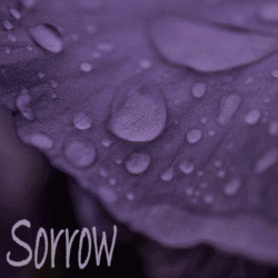 SORROW playlist